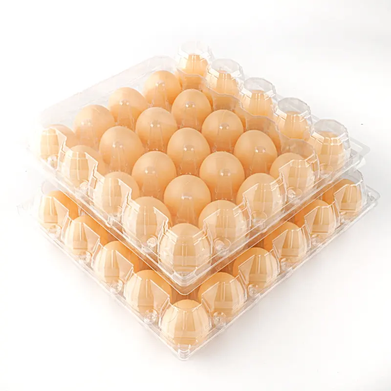 Offre Spéciale 30 plateaux à œufs en plastique, usine en gros, conteneur de stockage d'œufs pour le Camping