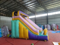 Château gonflable commercial avec toboggan 5mx3mx4m, maison de saut gonflable souple, aire de jeux extérieure idéale pour le plaisir des enfants