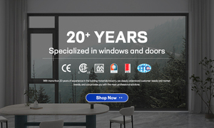 Tùy chỉnh tối giản dòng thiết kế bên mở cửa bằng thép không gỉ cho biệt thự ngoài trời an ninh bên ngoài - Product Image 5