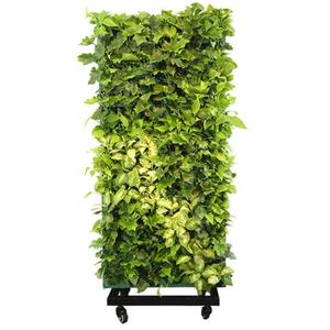 Maceta Vertical para Jardín Vertical Interior, Maceta Inteligente para Jardín Vertical - Product Image 2