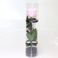 TC vente en gros simple 5-6cm Rose longue poignée tige fleur préservée Rose dans une boîte-cadeau en acrylique pour décoration de mariage cadeau pour elle