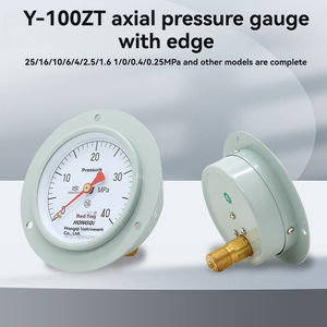 Bandeira vermelha Marca <span class=keywords><strong>Y</strong></span>-<span class=keywords><strong>100ZT</strong></span> 1.6 Nível Digital Water <span class=keywords><strong>Pressure</strong></span> <span class=keywords><strong>Gauge</strong></span> 100mm Axial Edge Instrumento Instrumentos de Medição - Product Image 3