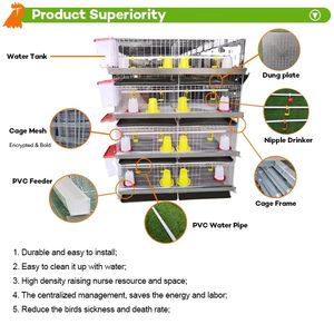 Vente en gros Couveuse galvanisée à 3/4 niveaux <span class=keywords><strong>Cage</strong></span> automatique système de <span class=keywords><strong>cage</strong></span> à batterie pour poulets <span class=keywords><strong>Cage</strong></span> pour bébés pour ferme avicole - Product Image 2