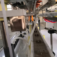 Machines de remplissage de bouteilles spécialisées automatiques Liquides corrosifs acides détergents Anti remplisseur d'acide plastique corrosif de blanchiment