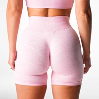 Nouveautés Femme Modeste Gym Porter Cyclisme Athlétique Compression High Impact Nylon Biker Shorts