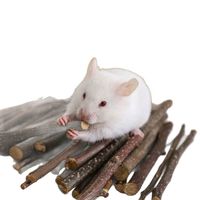 Bâton à mâcher en bois naturel pour chinchilla, cochon d'Inde, lapin et petits animaux, y compris des blocs de dentition, jouet à mâcher sûr pour les dents et les molaires