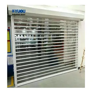 Clearly View Mall Showroom PC Rolling Shutter Door