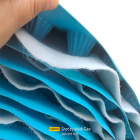 Feuille de drainage de panneau de drainage alvéolé HDPE en plastique de 2m de largeur Feuille de filtre de drainage de hauteur de 10mm avec géotextile pour tunnel