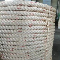 Corde en plastique marine en PP torsadée de grande taille pour la pêche, corde en polypropylène résistante de 6 mm, 8 mm, 25 mm