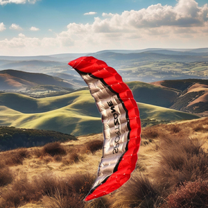 Cerf-volant de plage de haute qualité 2,5 m rouge double ligne en parafoil pour sports nautiques, kitesurf arc-en-ciel pour la voile Power Braid et activités de plein air - Product Image 5