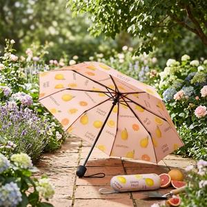 Nouvel Arrivage Parapluie de Poche Pliant Manuel à Cinq Volets avec Motif Avocat Mignon et Logo Entièrement Imprimé en Couleur - Product Image 3