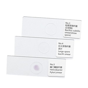 Cinq types de bactéries en forme de tiges provenant de l'école de médecine ont été clairement observés sous un microscope sur une lamelle de verre. - Product Image 1