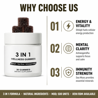Gummies bien-être 3-en-1 aux herbes naturelles OEM/ODM, infusées au Shilajit, bonbons pour adultes, soutien immunitaire et du sommeil, stimulant quotidien sûr pour la santé