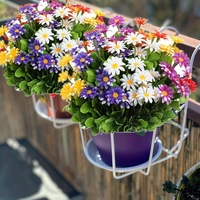 Petites fleurs de marguerite artificielles réalistes en plastique – Décoration moderne imperméable et durable pour la fête des Mères et Pâques, idéale pour les balcons extérieurs