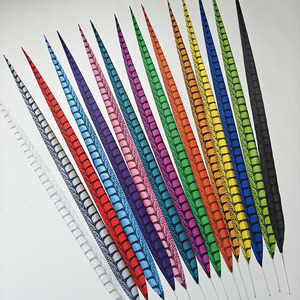 <span class=keywords><strong>Plume</strong></span> de fausse <span class=keywords><strong>plume</strong></span> de faisan de 100 cm, multicolore, vente en gros d'usine, pour décoration de costumes de carnaval de Samba - Product Image 2