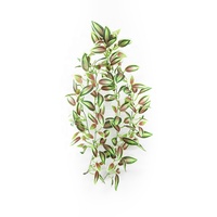 Plante suspendue artificielle Zebrina, différentes tailles, plante suspendue Zebrina artificielle