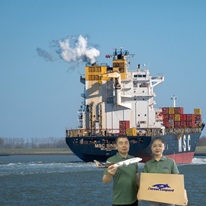 Envío gratuito de aduanas Qingdao Seafreight puerta a puerta servicio de envío a Montreal Toronto <span class=keywords><strong>Winnipeg</strong></span> Canadá desde China - Product Image 6