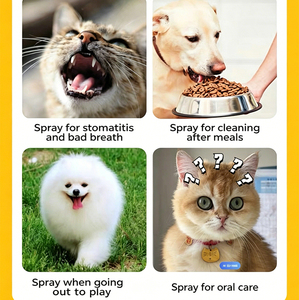 Spray para el Cuidado Bucal de Perros y Gatos, Seguro para Lamer, con Inulina y Ácido Cítrico, Alivia el Dolor de Úlceras Bucales y <span class=keywords><strong>la</strong></span> Saliva Excesiva, OEM/ODM - Product Image 4