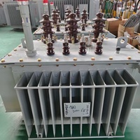 Transformador Sumergido en Aceite de Bajo Ruido y Funcionamiento Estable, 10kV a 380V, Trifásico, para Distribución de Energía en Edificios Comerciales