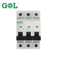 Disjoncteur miniature MCB 1P 2P 2 pôles 6A 100A 10kA avec protection Li certifié IEC CE CCC 110-220V