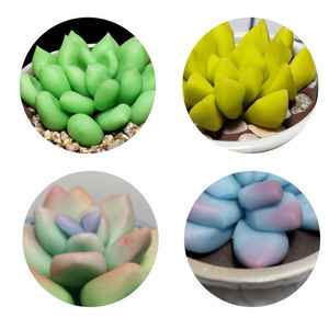 500g non cuit translucide résine argile sèche à l'air <span class=keywords><strong>pain</strong></span> argile froide porcelaine matériel bricolage jouets Kit amusant éducatif unisexe sac - Product Image 3