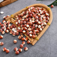 Graines de Gorgon Euryale Naturelles Qian Shi, Semences d'Euryales, Fruit de Gorgon pour Herbes et Épices
