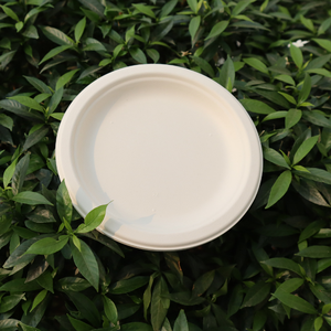 Meilleure vente 100% assiette jetable biodégradable et écologique tailles personnalisées assiette de 6 pouces assiettes jetables de couleur naturelle blanche - Product Image 1