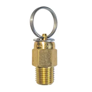 Brass 1/4in NPT thread 15PSI Air vent release valve brass automatic valve