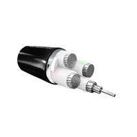 Kabel Daya Multi Inti Tegangan Rendah Xlpe/pvc Grosir Yjv22 Kabel Daya Berisolasi dan Berselaput Silang
