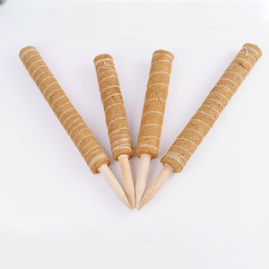 Support en bambou PVC vert <span class=keywords><strong>pour</strong></span> <span class=keywords><strong>plantes</strong></span> <span class=keywords><strong>grimpantes</strong></span>, <span class=keywords><strong>colonne</strong></span> <span class=keywords><strong>de</strong></span> grimpement, bâton <span class=keywords><strong>de</strong></span> cocotier, support <span class=keywords><strong>de</strong></span> plante grimpante anti-encastrement - Product Image 3