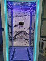 Ascenseur résidentiel CE 250 kg à prix réduit, petits ascenseurs électriques pour maison, monte-charge hydraulique domestique économique