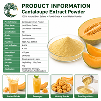 YUSAIL Poudre d'extrait de cantaloup 100% naturelle de qualité alimentaire, poudre de melon Hami pour les boissons