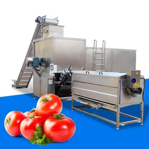 Kleine Tomatenpuree Maken Machine Productielijn/Tomatensaus Maken Machine Verwerking Machine Prijs