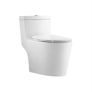 Bolina 2024 imalatı sıcak satış amerikan standart sifon s-tuzak çift gömme uzatılmış standart tek parça tuvalet