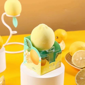 הפופולרי ביותר מחיר נמוך הסיטונאי 75 גרם גלידת לימון גלידת - Product Image 1