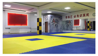 Tapis d'entraînement Tatami Judo Karaté Interlocking Arts martiaux Puzzle EVA Mousse haute densité Taekwondo Sol
