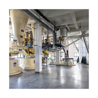 Usine de détergent à lessive et ligne de fabrication de poudre à laver pour la production et l'emballage industriels de poudres