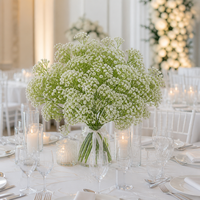 Bouquet de Gypsophile Artificielle en Plastique en Gros, 6 Couleurs, Aspect Réaliste, pour Mariage, Fête, Décoration Intérieure, Remplissage Floral en Vrac