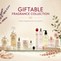 Fabricant de Savon Liquide et Crème pour les Mains WELLNESS – Vente en Gros Personnalisée, Marque Privée – Ensemble Gel Désinfectant pour les Mains, Savon Liquide et Crème Hydratante pour les Mains
