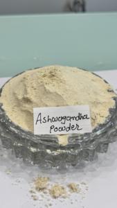 Poudre d'extrait d'ashwagandha séchée certifiée, de qualité supérieure, en vrac, d'Inde, pour adultes, emballée en boîte - Product Image 4