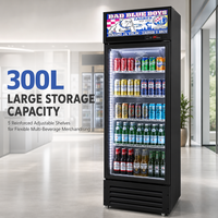 Réfrigérateur commercial vertical pour boissons, vitrine réfrigérée à porte vitrée, économique