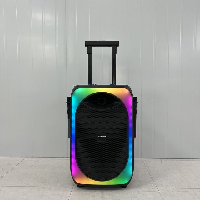 12 Inch Trolley Speaker with 2 Microphones 30W 2200mAh ECHO DELAY BASS TREBLE Digital MP3 Player TWS Karaoke Speaker