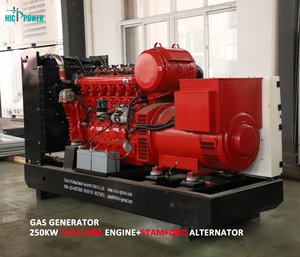 Generatore Cummins/Yuchai 20-50kw 100-800kw 1000kw-2mw a Biogas, Gas Naturale, GPL, GNC, GNL con 1/3 Fasi per Energia <span class=keywords><strong>Industriale</strong></span> e Campi Petroliferi - Product Image 2