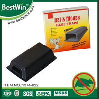 Plaque autocollante en plastique pour souris, piège à colle pour souris, rat, répulsif pour rongeurs