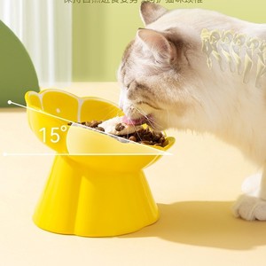 Ceramic Daisy <b>Cat</b> Food Bowl Elevated Slanted Rim Design For <b>Cats</b> Yellow - Product Image 3