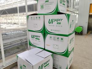 UPuper <span class=keywords><strong>CB</strong></span> Cubos de Lana de Roca de 3*3 Pulgadas para Cultivo Hidropónico/Vertical sin Tierra, Sustrato para Plántulas - Product Image 6