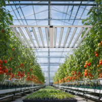 Kruiden, bladgroenten, fruit, bloemen, IP65 gecertificeerde 1300W opvouwbare driekanaals full spectrum kweeklamp voor commerciële kwekers