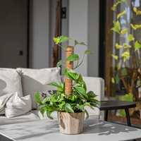 Poteau en mousse écologique carré personnalisé, durable et moderne, environ 52 pouces, poteau totem en coquille de noix de coco pour le soutien des plantes