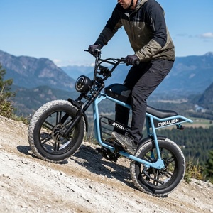 Moto tout-terrain <span class=keywords><strong>électrique</strong></span> blanche <span class=keywords><strong>de</strong></span> 20 pouces avec système <span class=keywords><strong>de</strong></span> freinage à disque hydraulique, <span class=keywords><strong>vélo</strong></span> <span class=keywords><strong>électrique</strong></span> pour la photographie en extérieur et les prises <span class=keywords><strong>de</strong></span> vue panoramiques - Product Image 3