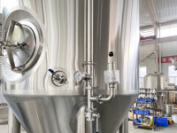 Fermenteur conique 300L avec trappe latérale, isolé et pressurisé, pour la fermentation de la bière, avec pierre de carbonatation, en acier inoxydable, type Unitank